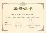 第13届中国（莆田）工艺博览会铜奖