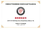 中华知识产权非物质文化遗产专业委员会
